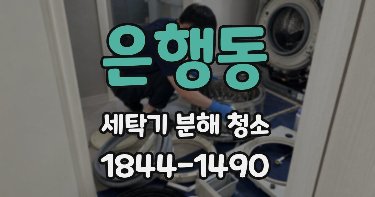은행동 세탁기 분해 청소