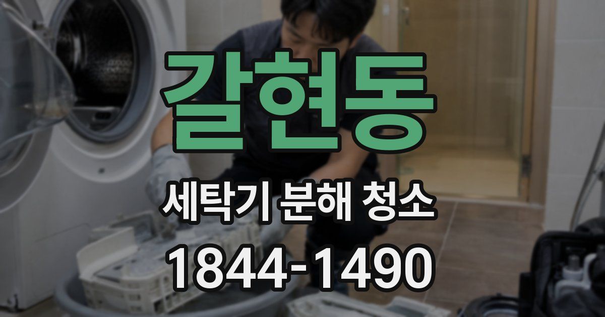 갈현동 세탁기 분해 청소