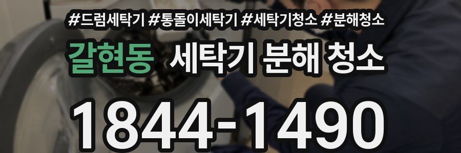 갈현동 세탁기 분해 청소