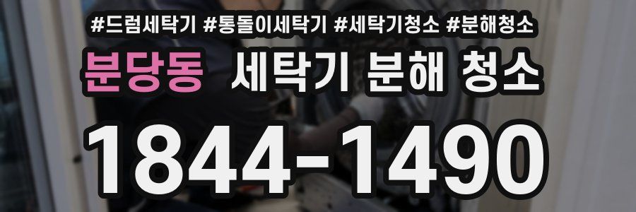 분당동 세탁기 분해 청소