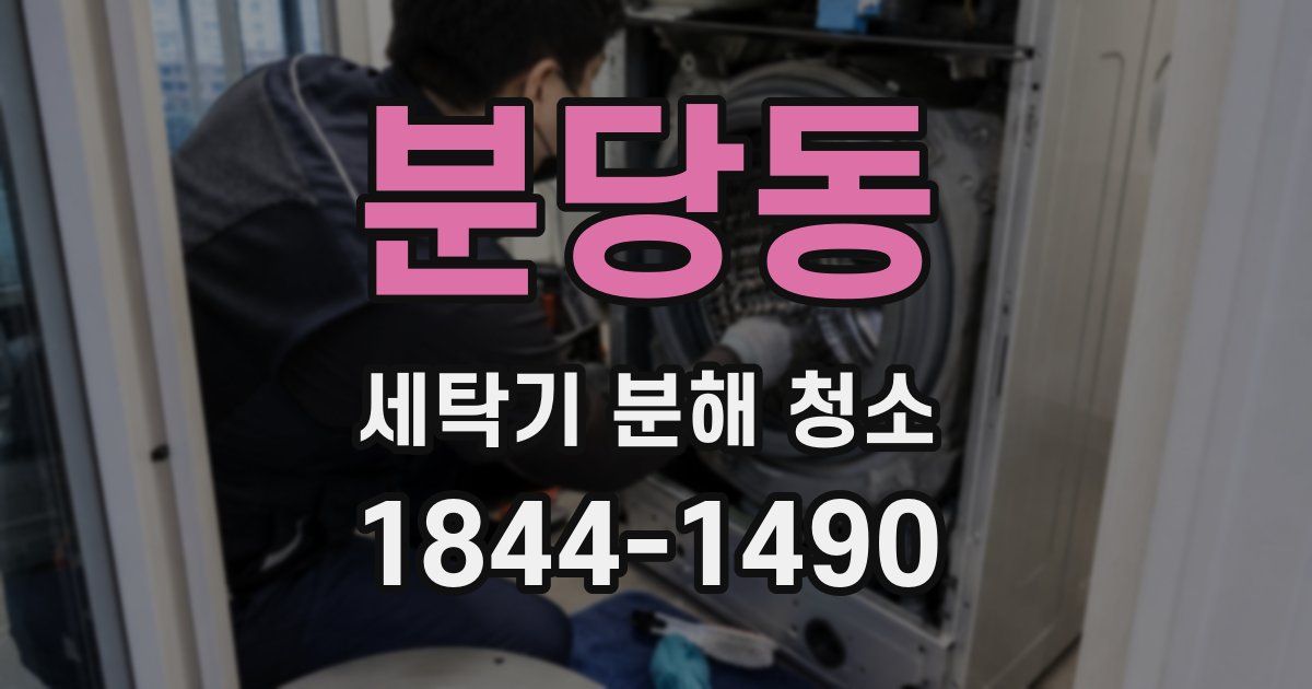 분당동 세탁기 분해 청소