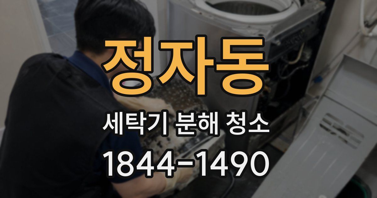 정자동 세탁기 분해 청소