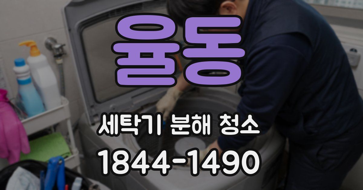 율동 세탁기 분해 청소