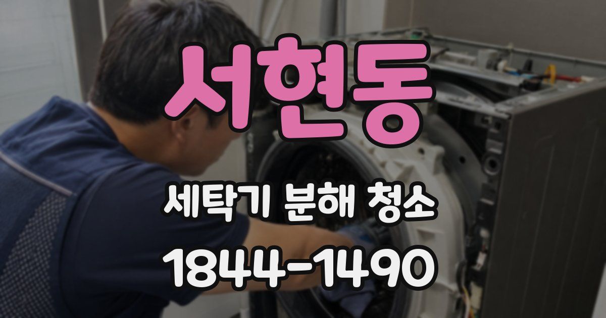 서현동 세탁기 분해 청소
