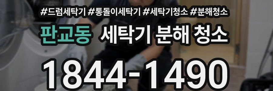 판교동 세탁기 분해 청소