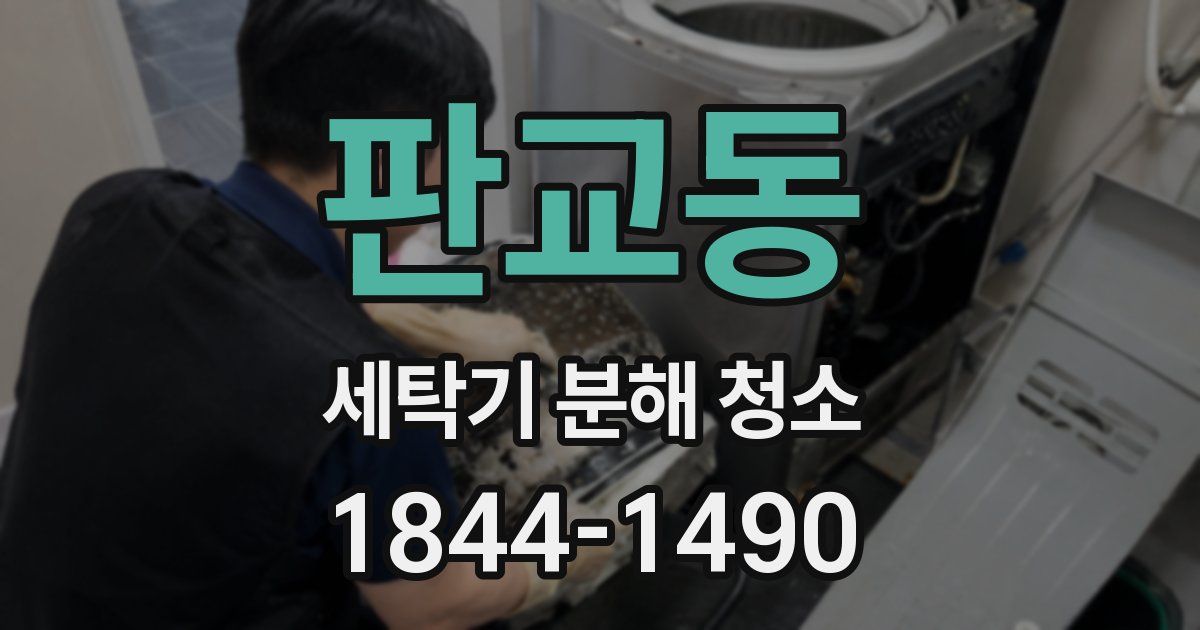 판교동 세탁기 분해 청소