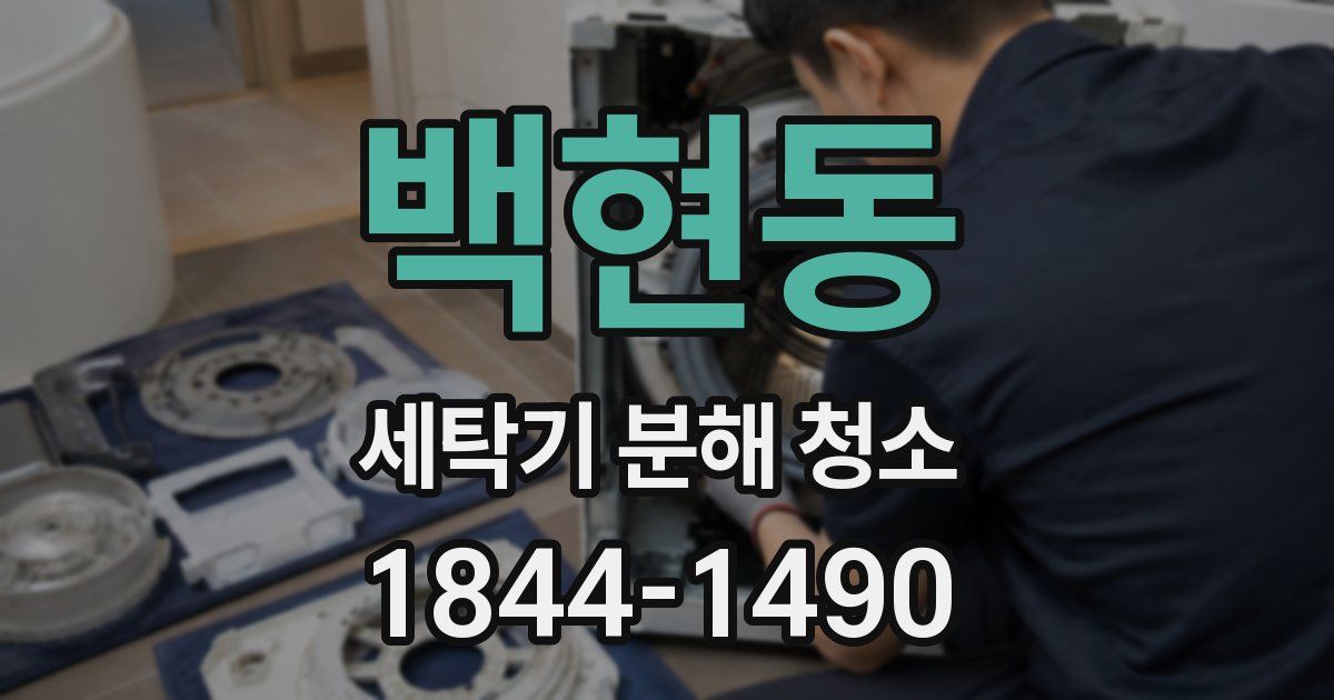 백현동 세탁기 분해 청소
