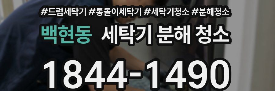 백현동 세탁기 분해 청소