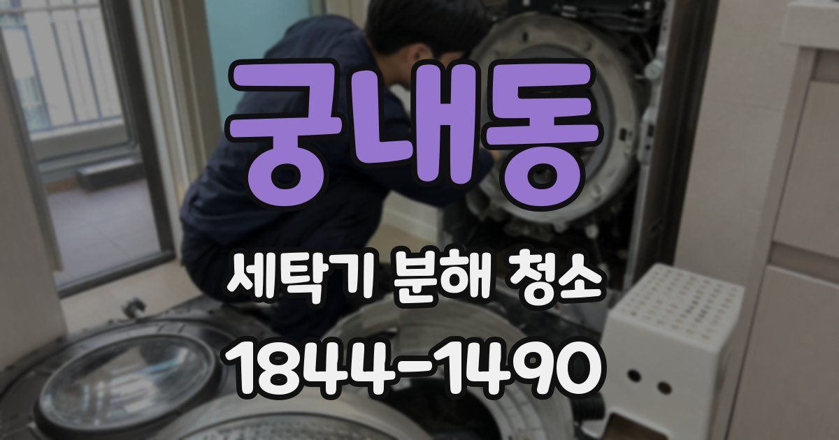 궁내동 세탁기 분해 청소