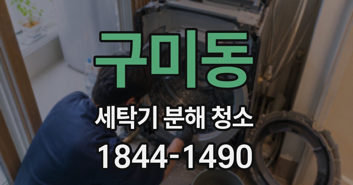 구미동 세탁기 분해 청소