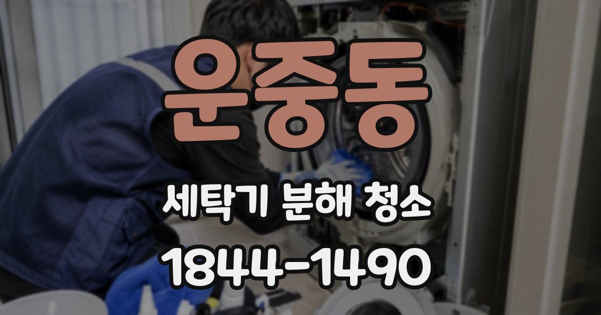운중동 세탁기 분해 청소