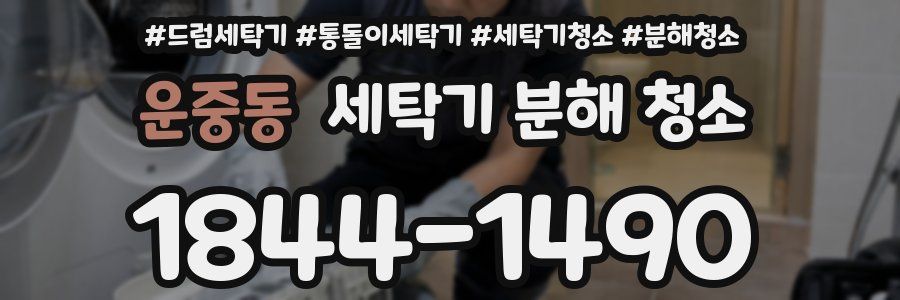 운중동 세탁기 분해 청소