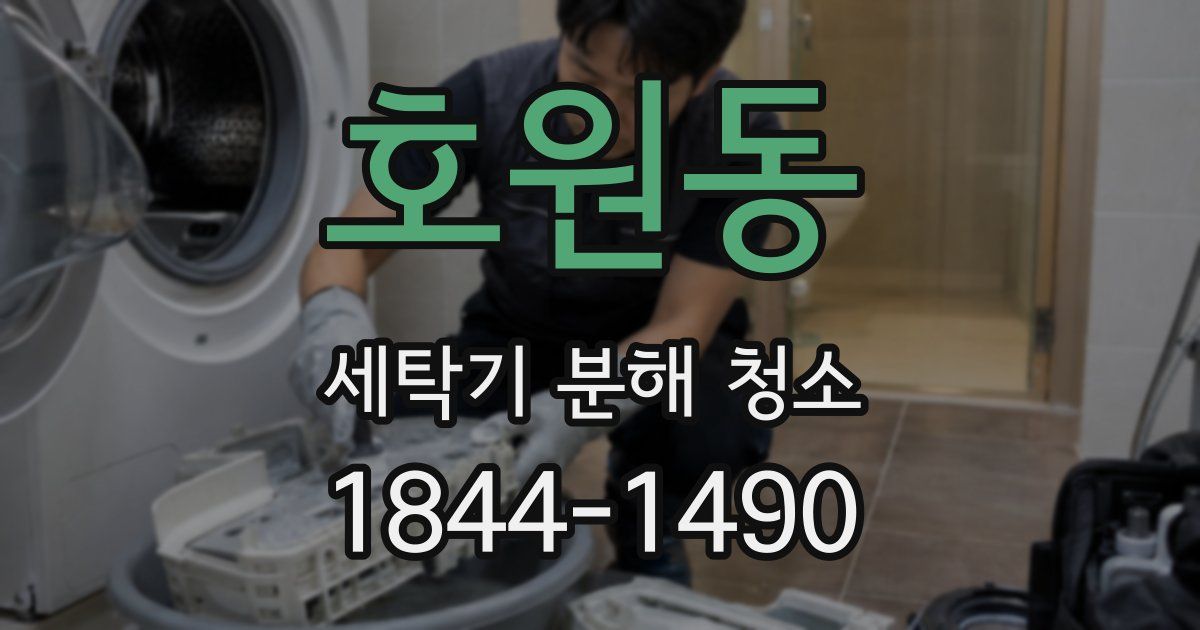 호원동 세탁기 분해 청소