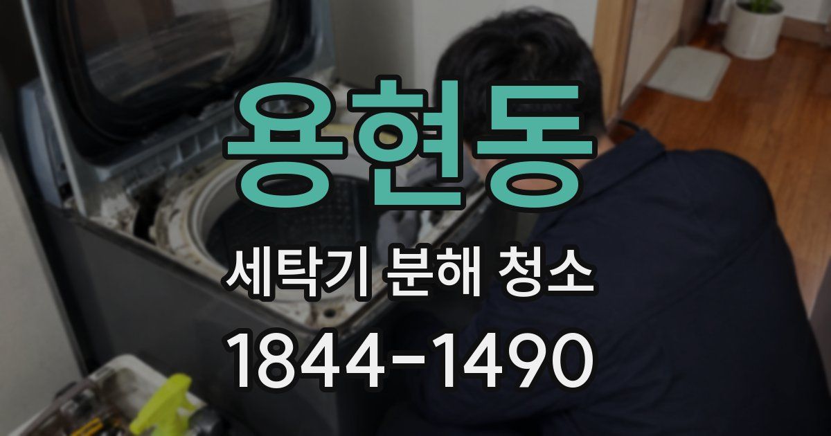 용현동 세탁기 분해 청소
