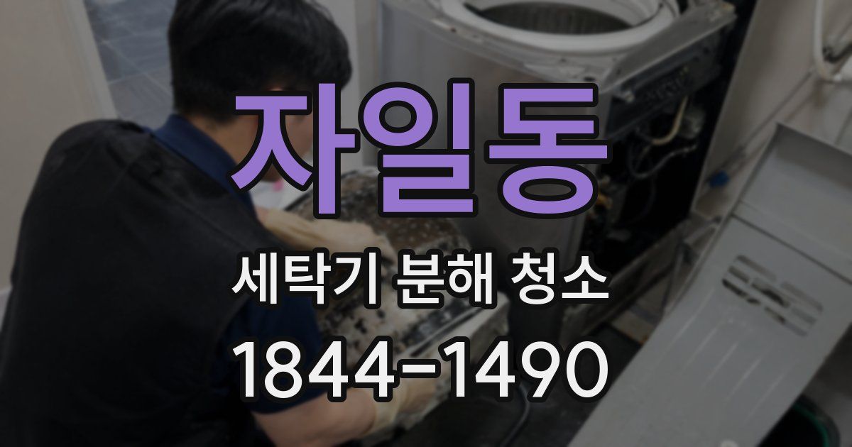 자일동 세탁기 분해 청소