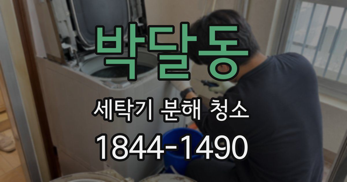 박달동 세탁기 분해 청소