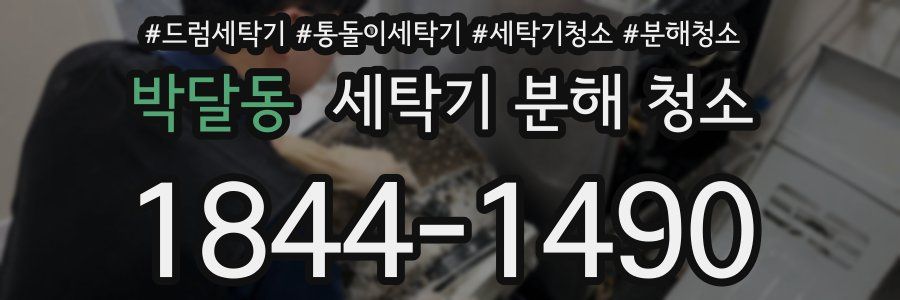 박달동 세탁기 분해 청소