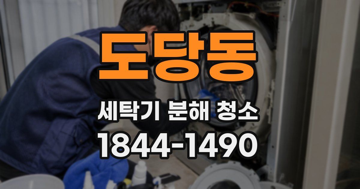 도당동 세탁기 분해 청소