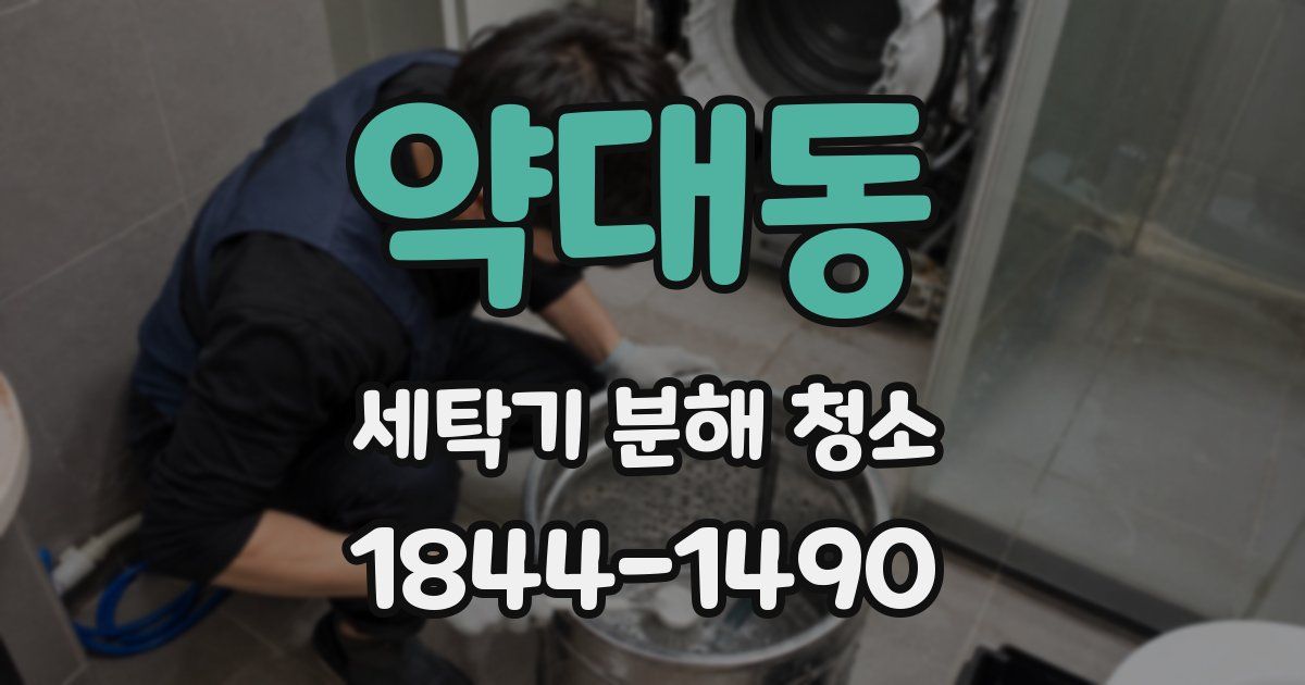 약대동 세탁기 분해 청소