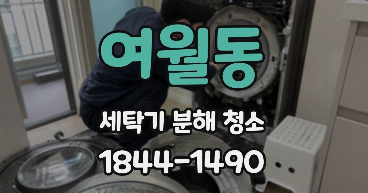 여월동 세탁기 분해 청소