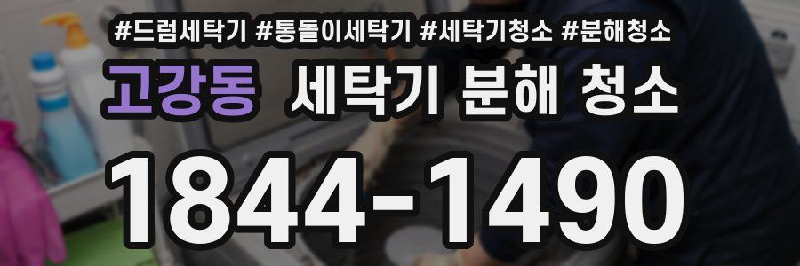 고강동 세탁기 분해 청소