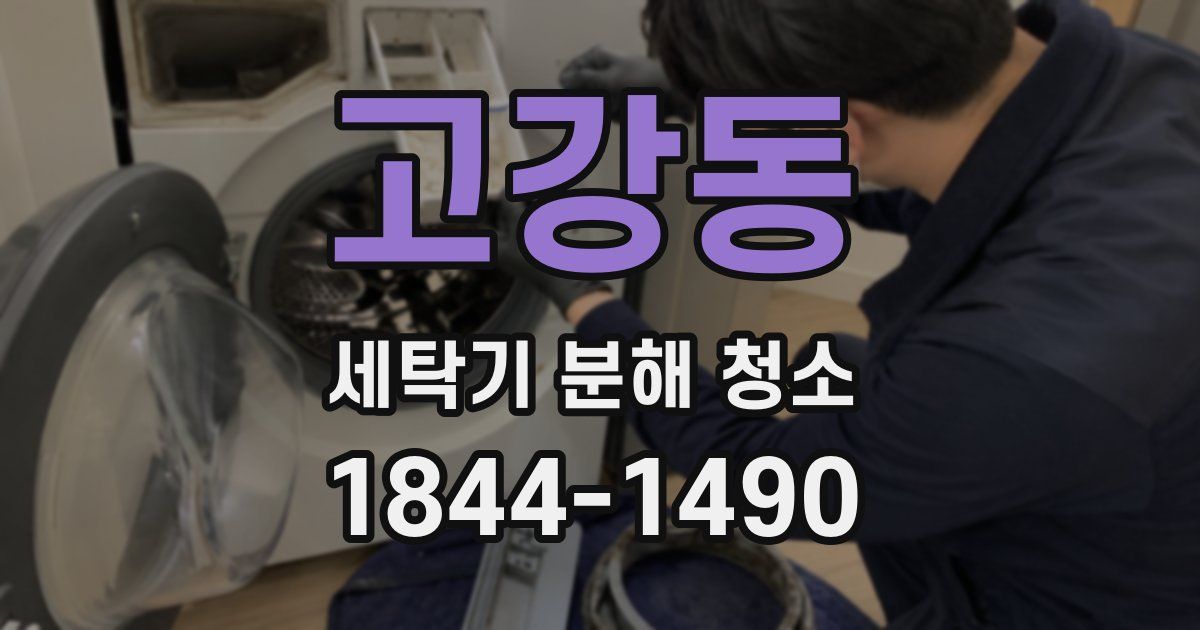 고강동 세탁기 분해 청소