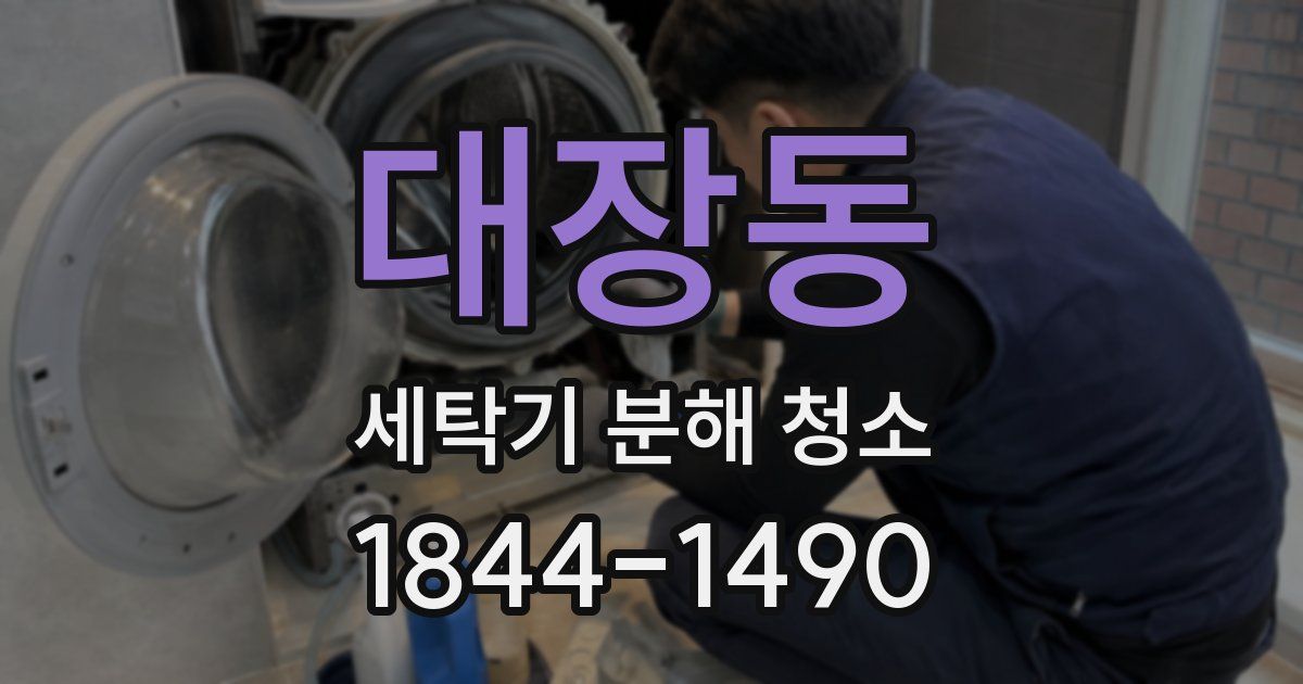 대장동 세탁기 분해 청소