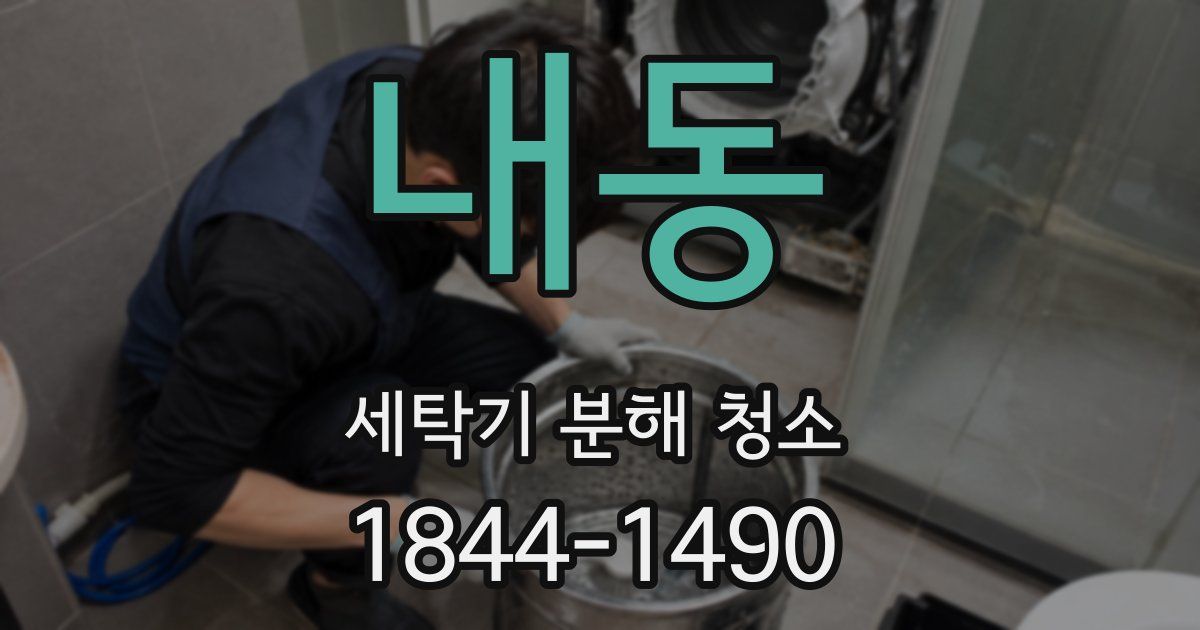 내동 세탁기 분해 청소