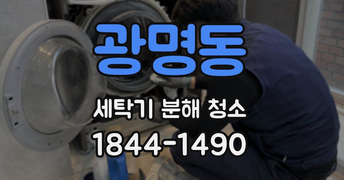 광명동 세탁기 분해 청소