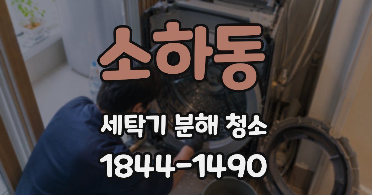 소하동 세탁기 분해 청소