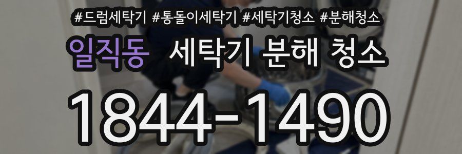 일직동 세탁기 분해 청소
