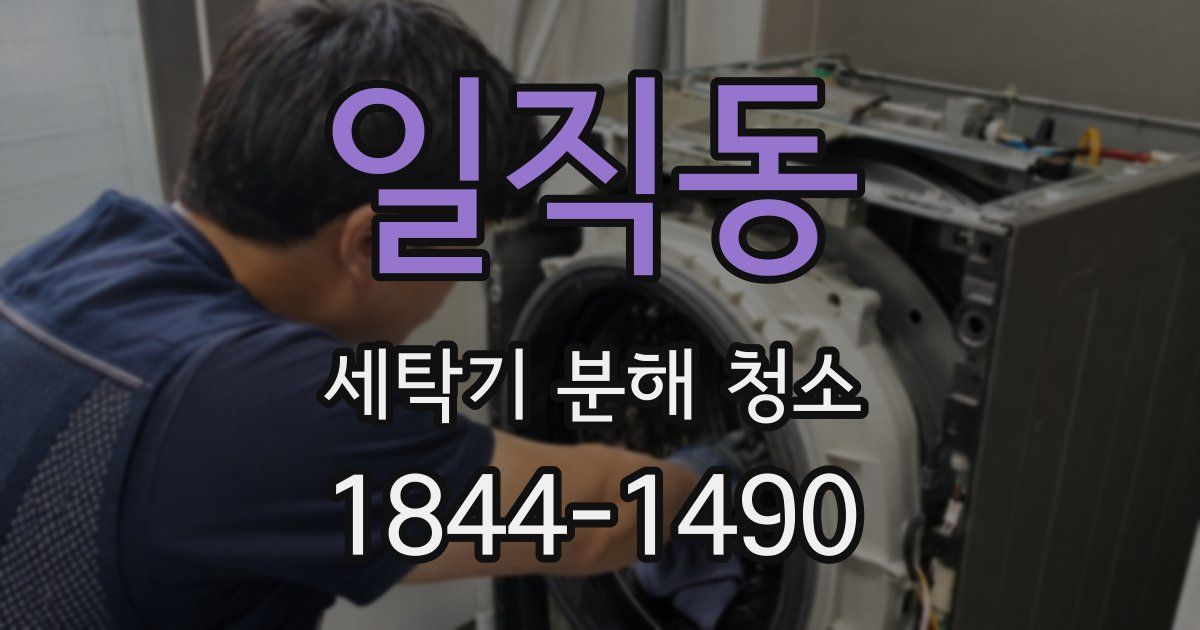 일직동 세탁기 분해 청소