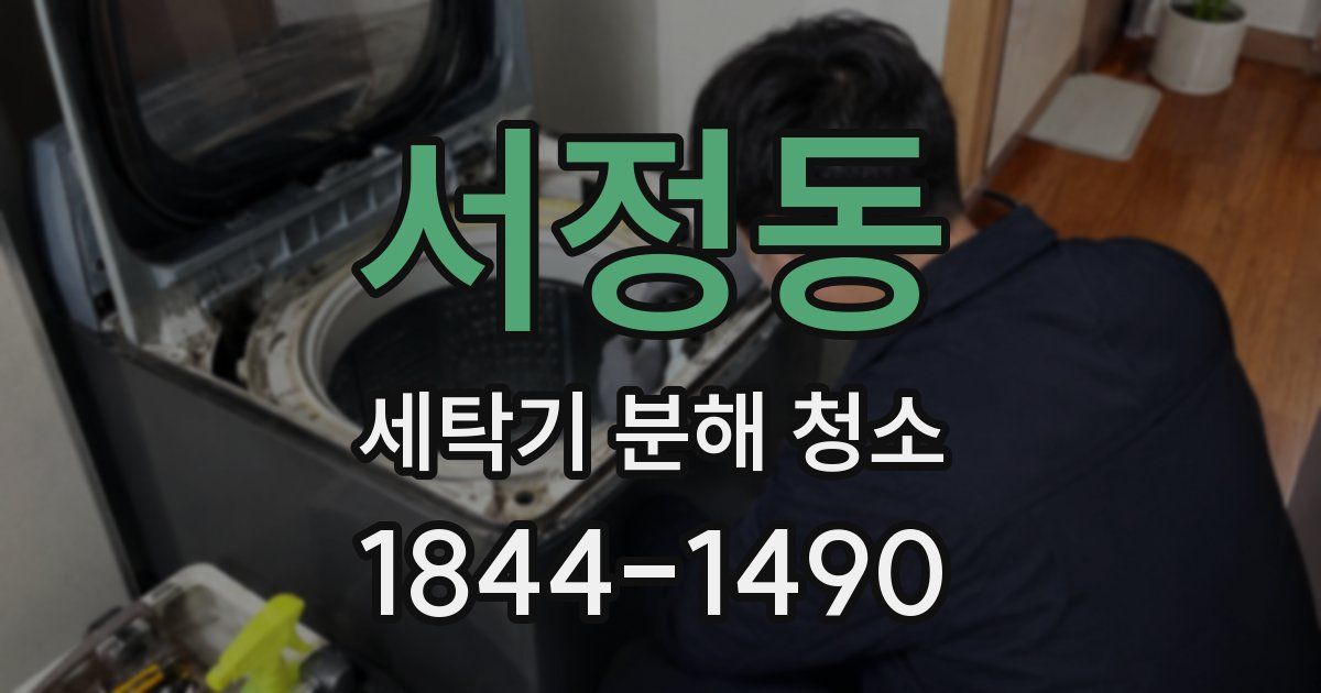 서정동 세탁기 분해 청소