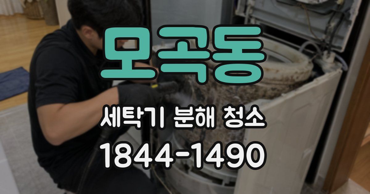 모곡동 세탁기 분해 청소