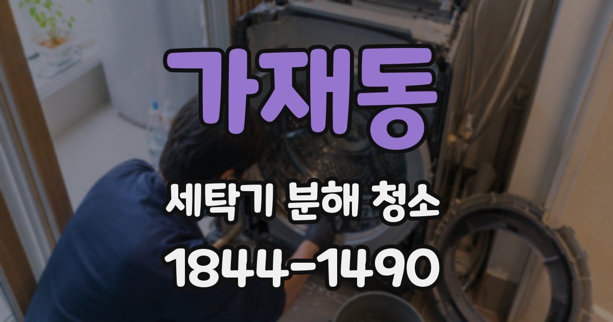 가재동 세탁기 분해 청소