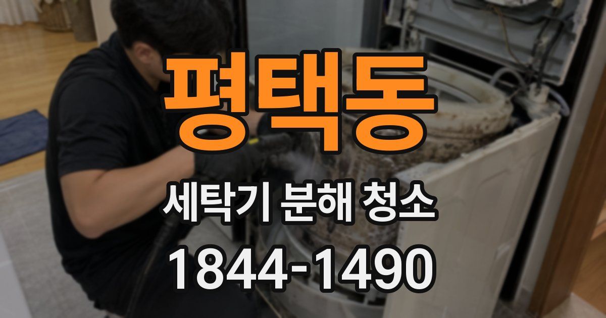평택동 세탁기 분해 청소
