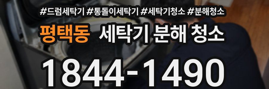평택동 세탁기 분해 청소