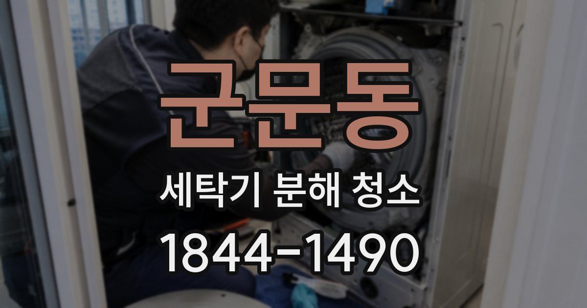 군문동 세탁기 분해 청소
