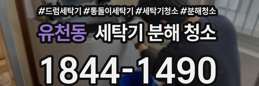 유천동 세탁기 분해 청소