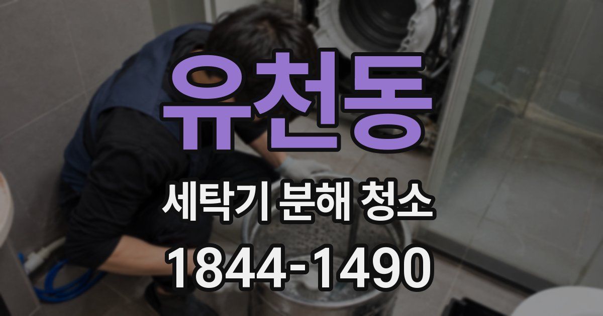 유천동 세탁기 분해 청소
