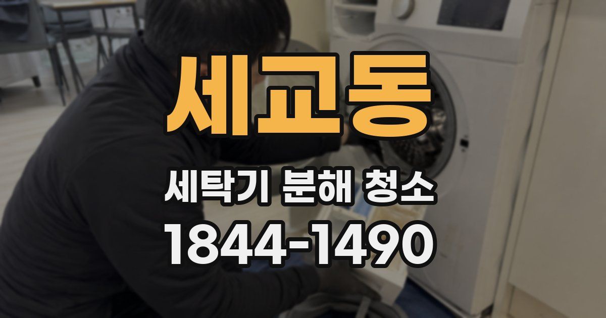 세교동 세탁기 분해 청소