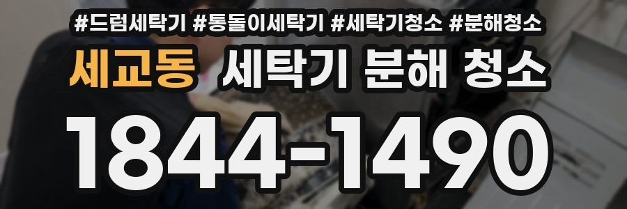 세교동 세탁기 분해 청소
