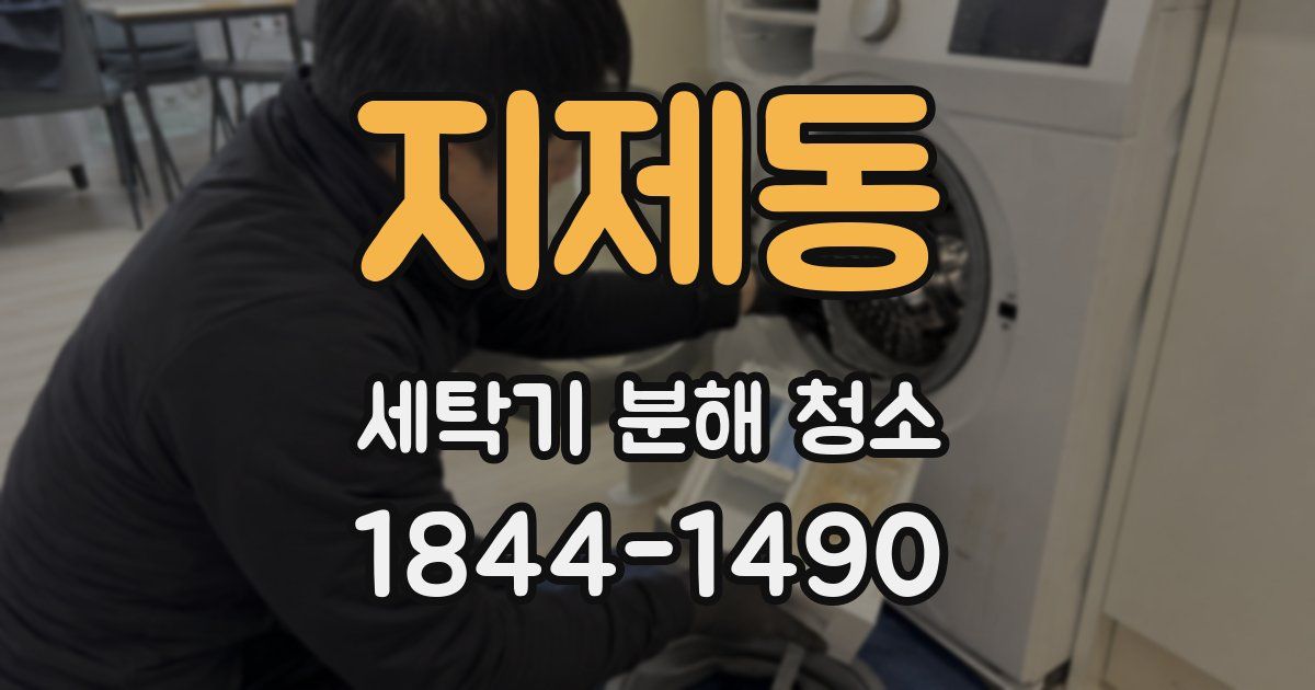 지제동 세탁기 분해 청소