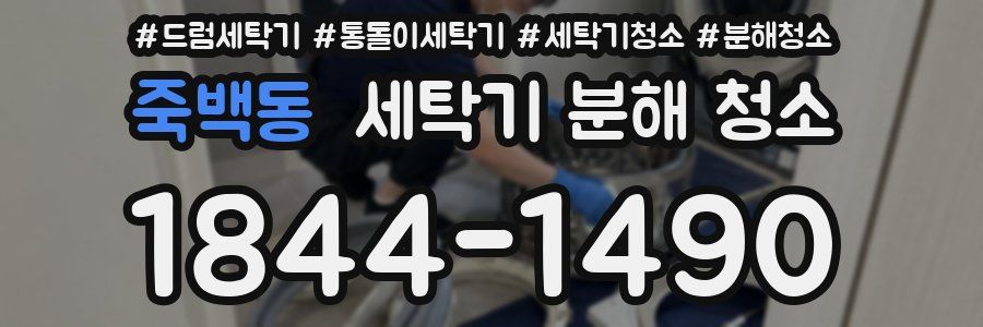 죽백동 세탁기 분해 청소