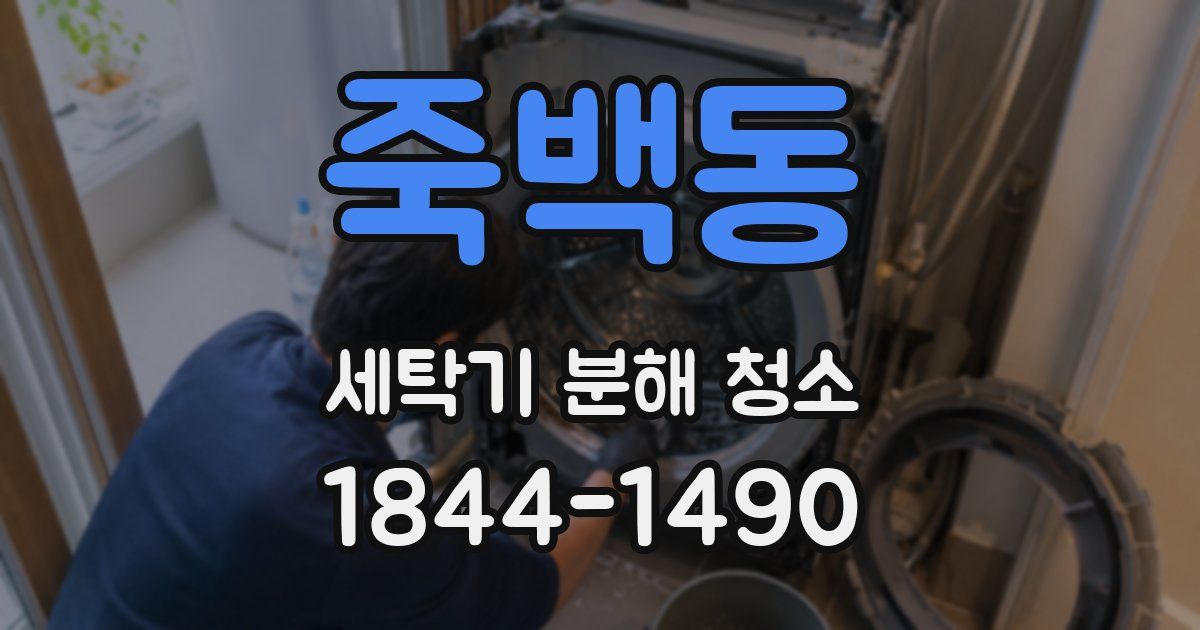 죽백동 세탁기 분해 청소
