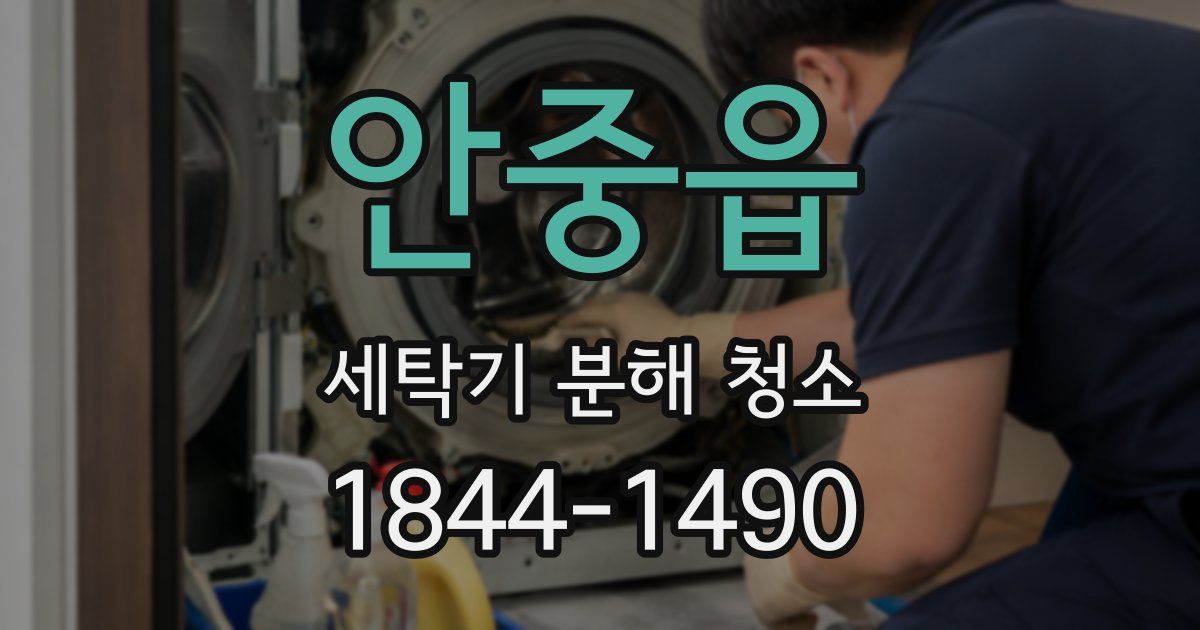 안중읍 세탁기 분해 청소