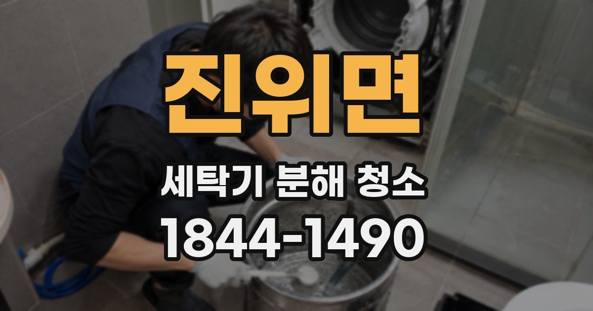 진위면 세탁기 분해 청소