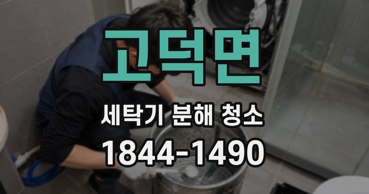 고덕면 세탁기 분해 청소