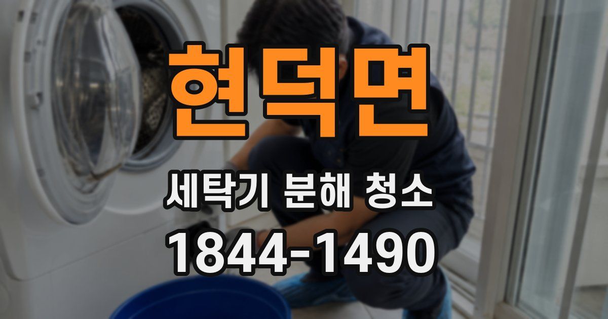 현덕면 세탁기 분해 청소