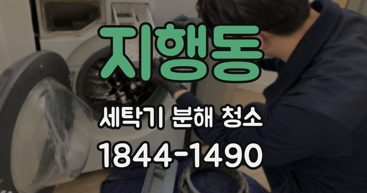 지행동 세탁기 분해 청소
